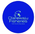 Welcome to Olawareju Business Hub